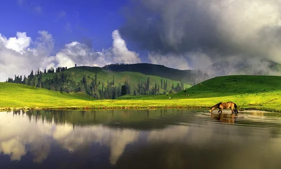 Kashmir Tour